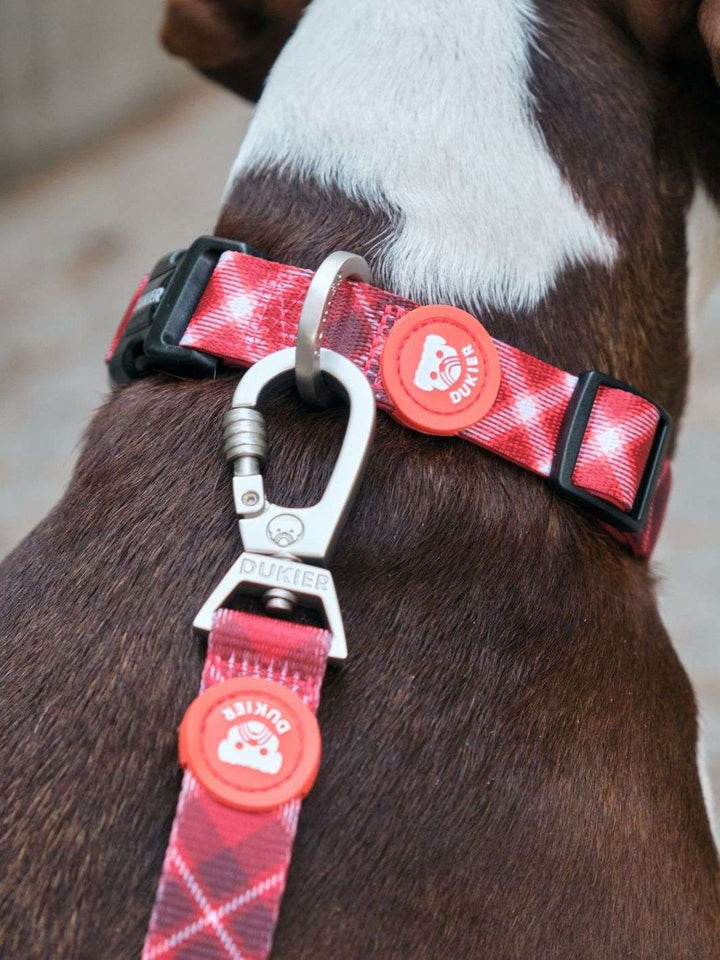 COLLAR PARA PERRO TARTÁN RED