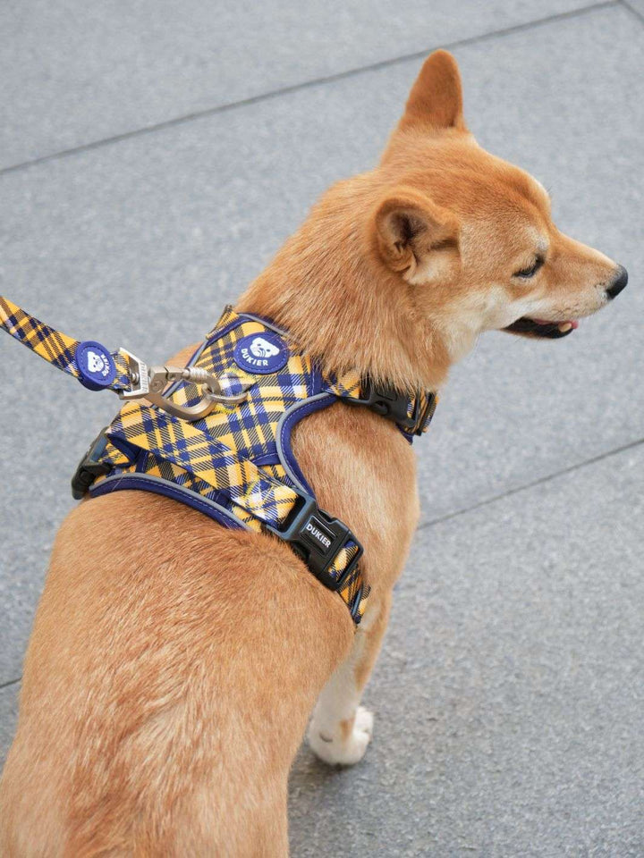ARNES TRAIL PARA PERRO TARTÁN MUSTARD