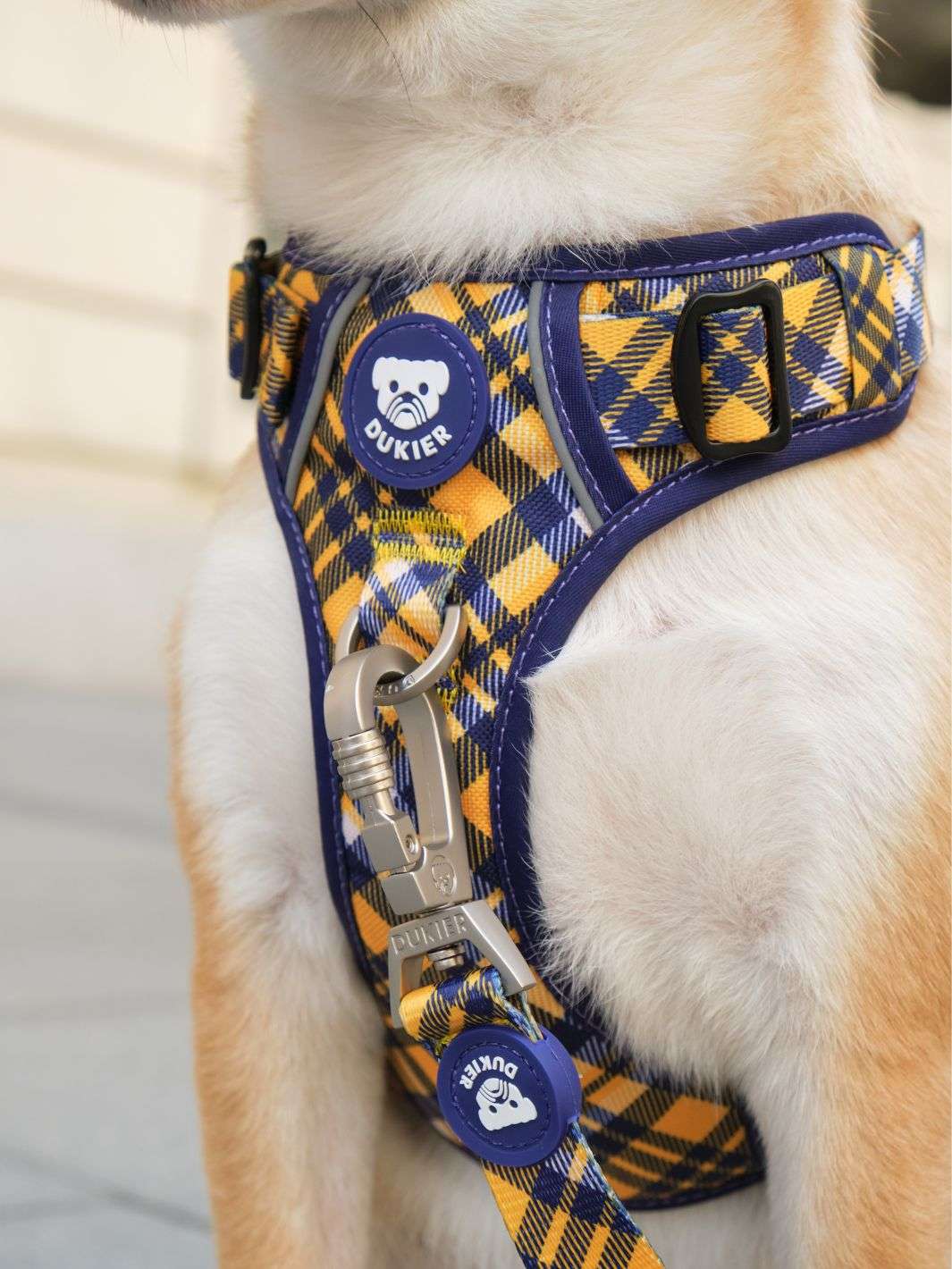 ARNES TRAIL PARA PERRO TARTÁN MUSTARD