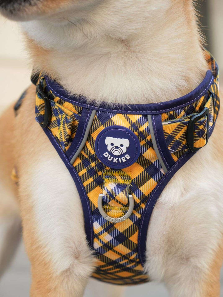 ARNES TRAIL PARA PERRO TARTÁN MUSTARD