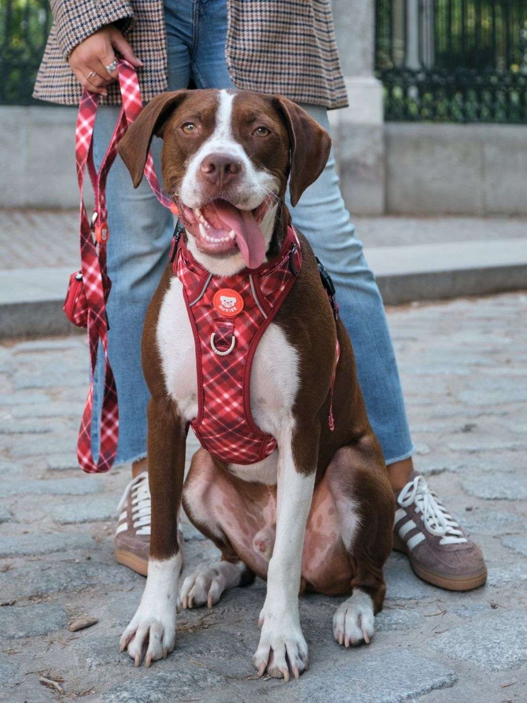 ARNES TRAIL PARA PERRO TARTÁN RED