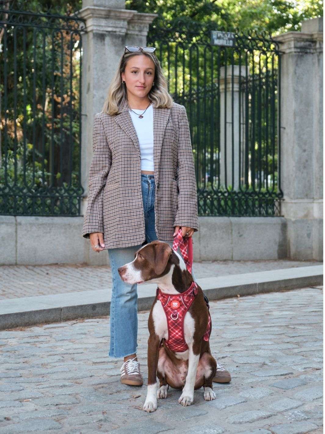 ARNES TRAIL PARA PERRO TARTÁN RED