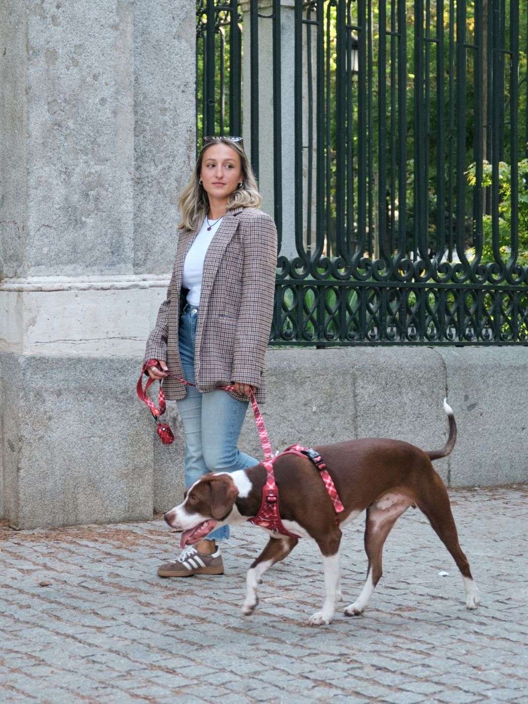 CORREA PARA PERRO TARTÁN RED