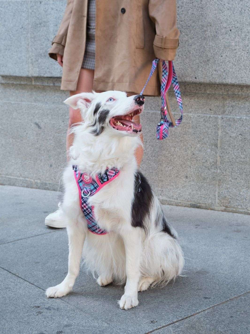 ARNES TRAIL PARA PERRO TARTÁN PINK