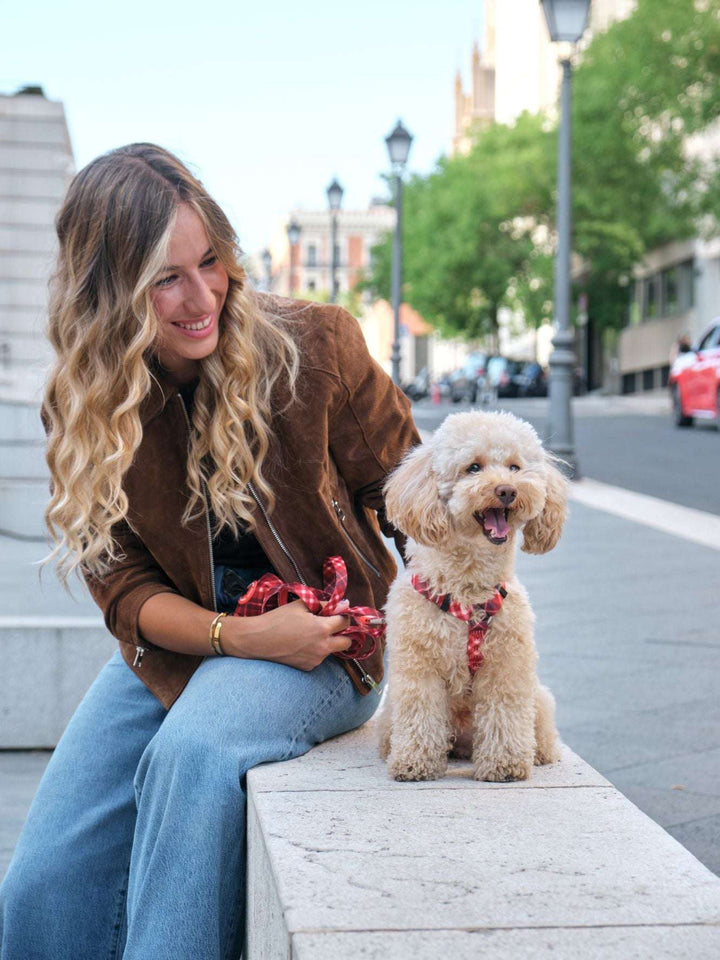 ARNÉS CLÁSICO PARA PERRO TARTÁN RED