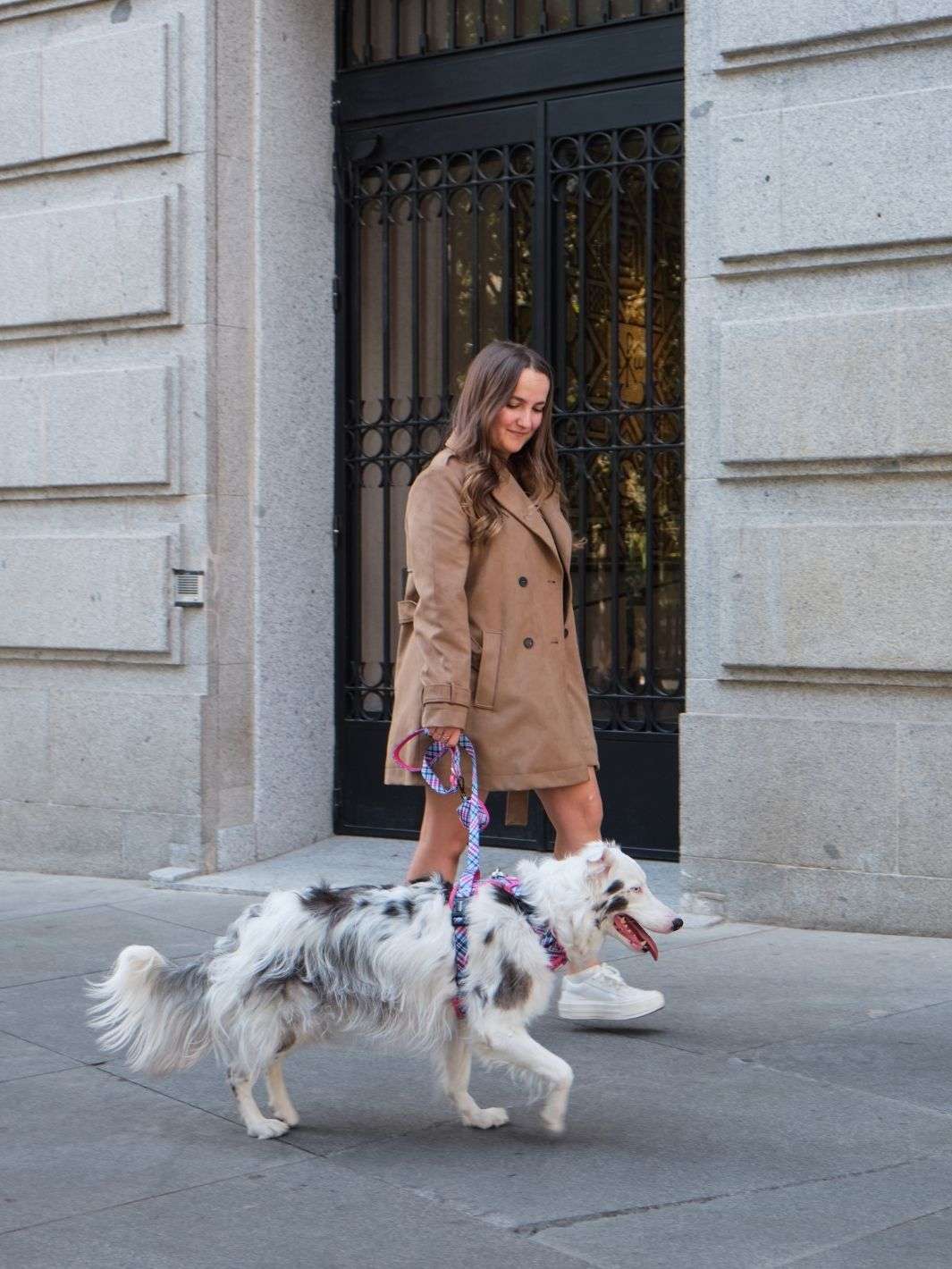 CORREA PARA PERRO TARTÁN PINK