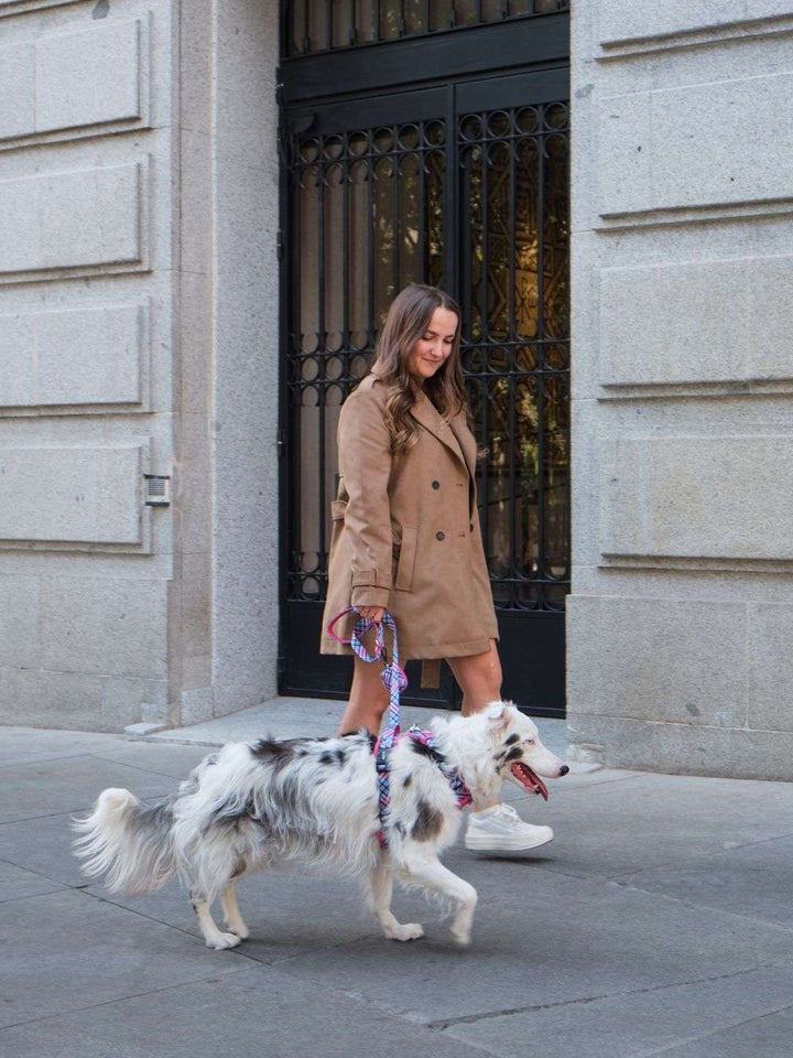 CORREA PARA PERRO TARTÁN PINK