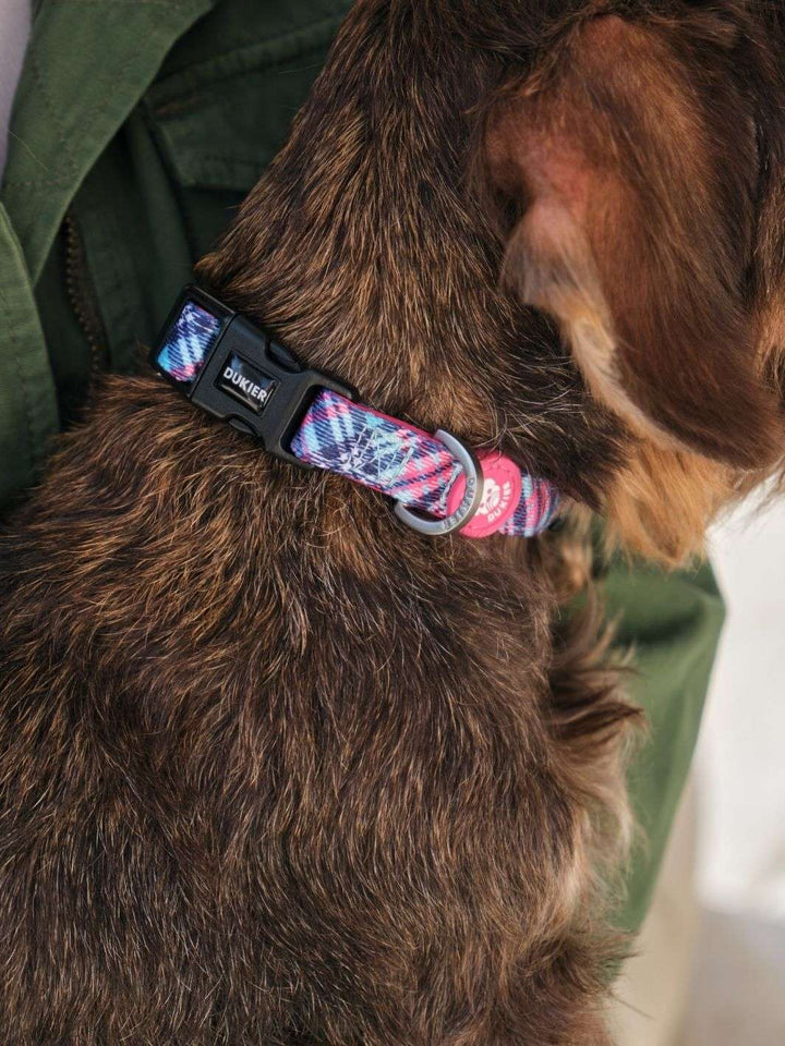 COLLAR PARA PERRO TARTÁN PINK