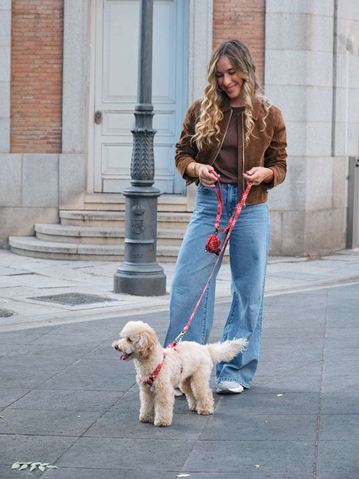 ARNÉS CLÁSICO PARA PERRO TARTÁN RED
