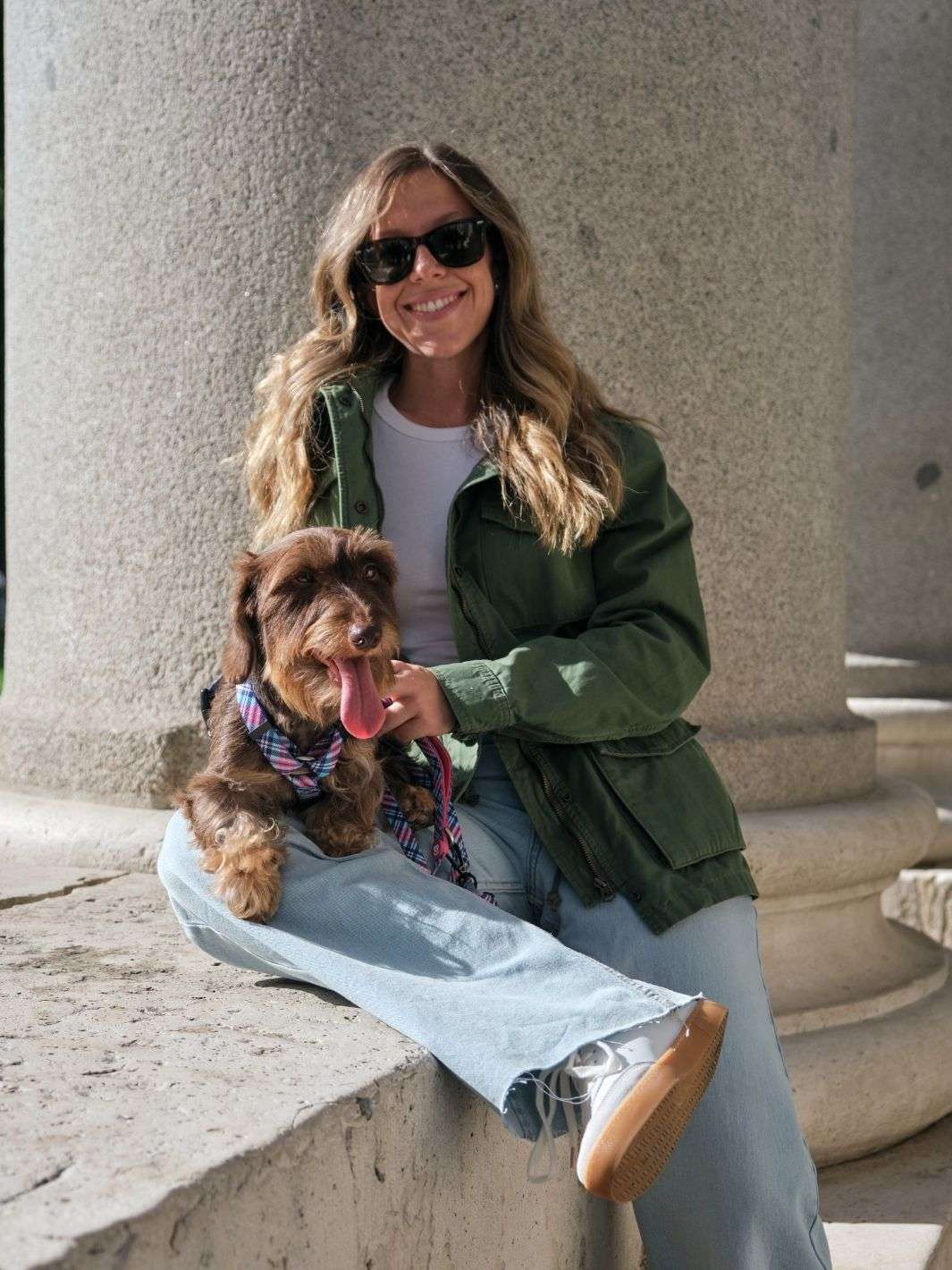 ARNÉS CLÁSICO PARA PERRO TARTÁN PINK