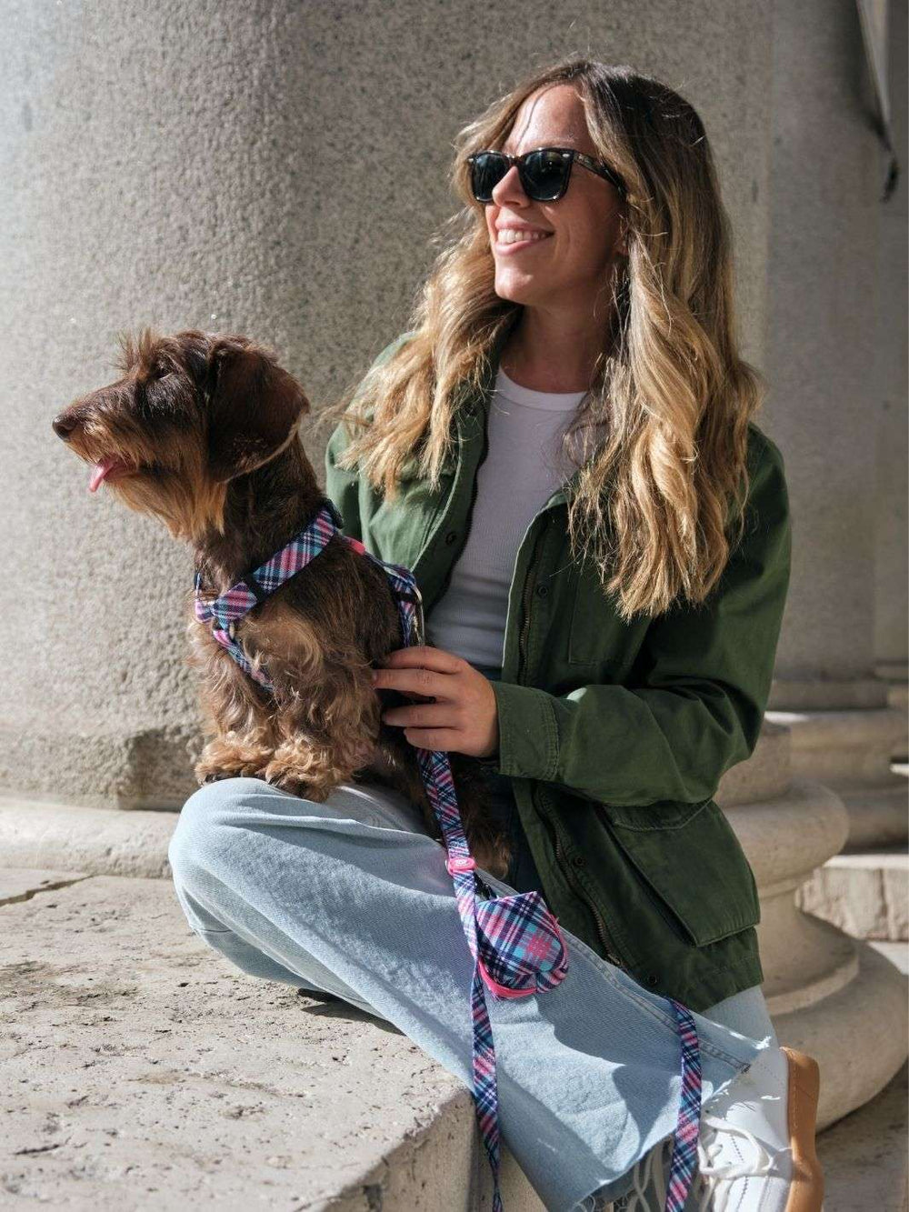 ARNÉS CLÁSICO PARA PERRO TARTÁN PINK