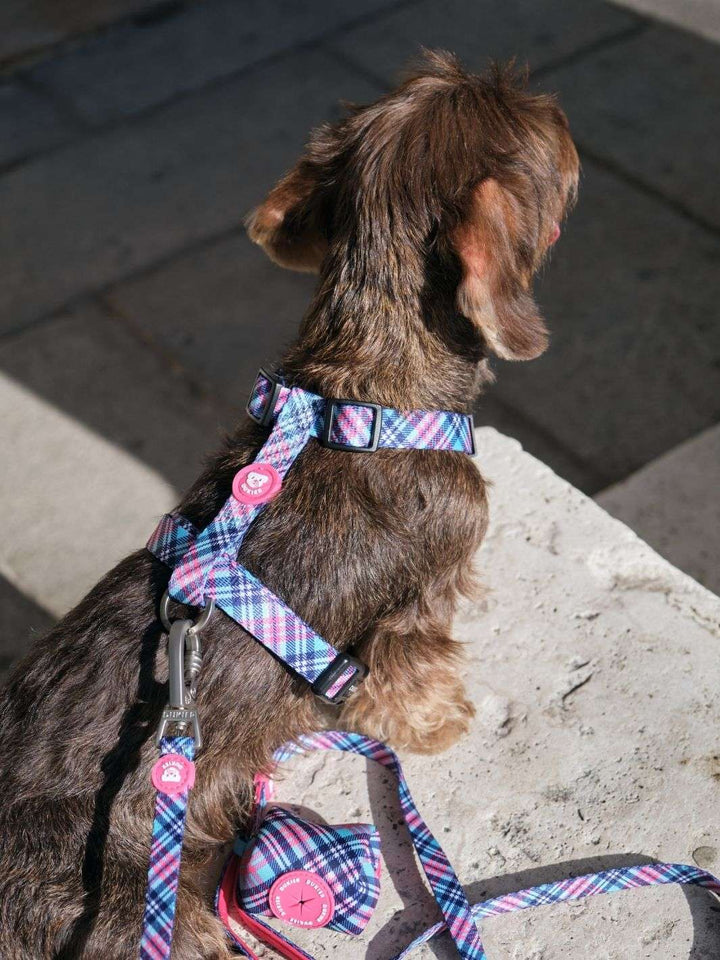 ARNÉS CLÁSICO PARA PERRO TARTÁN PINK