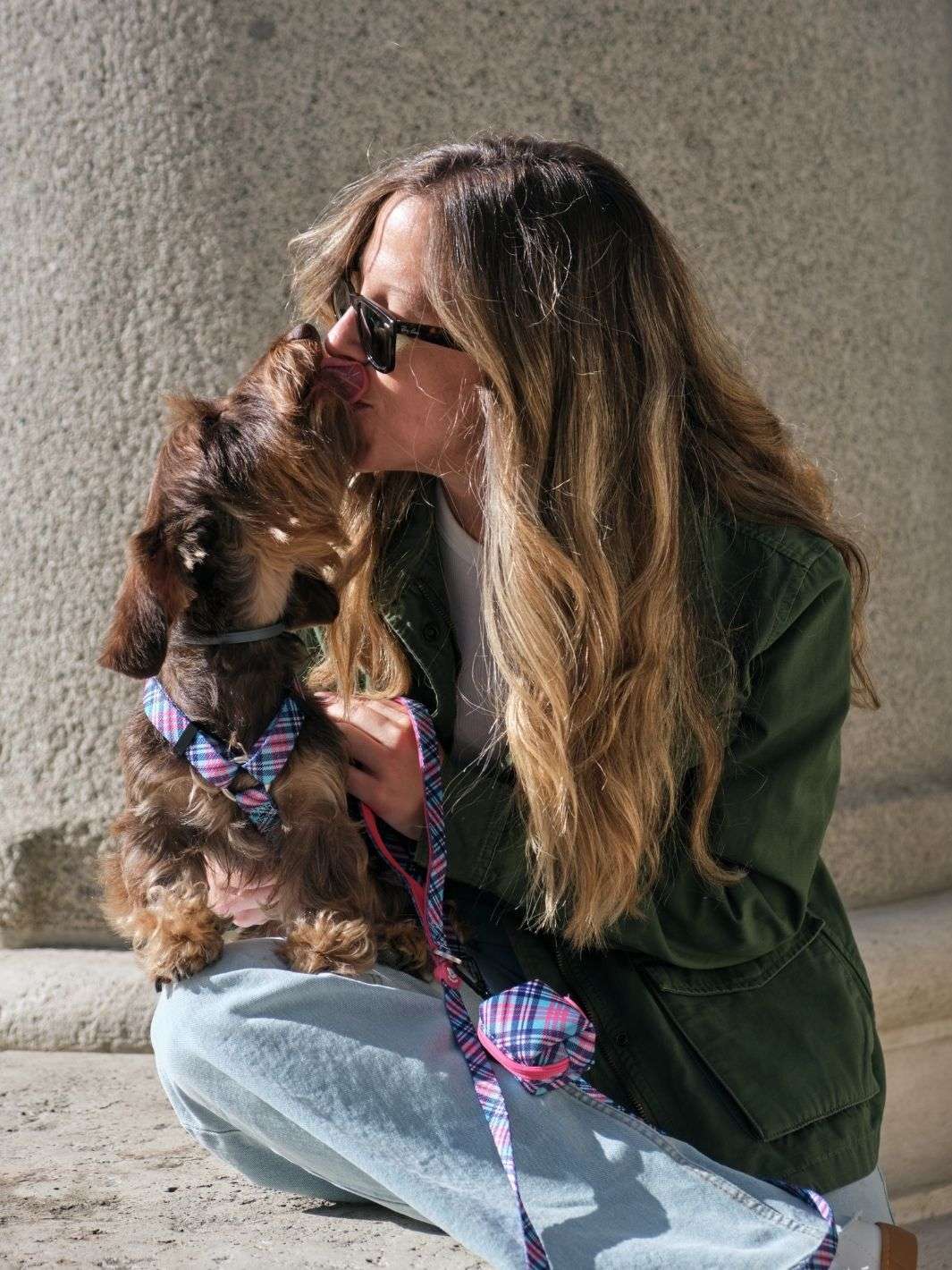 ARNÉS CLÁSICO PARA PERRO TARTÁN PINK