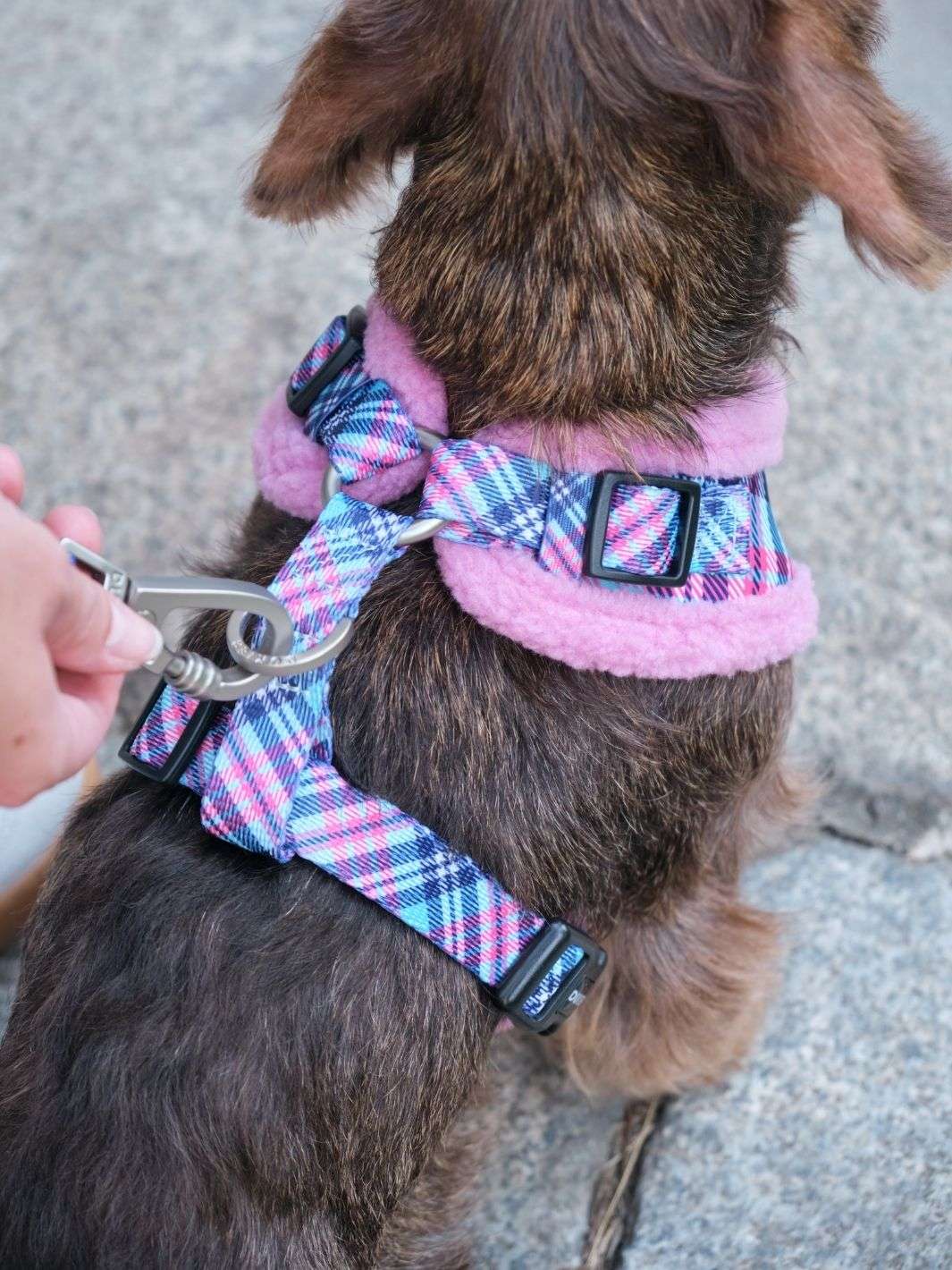 ARNES AJUSTABLE PARA PERRO TARTÁN PINK