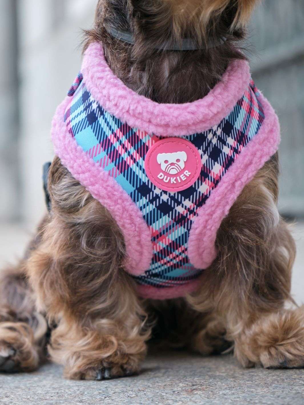 ARNES AJUSTABLE PARA PERRO TARTÁN PINK