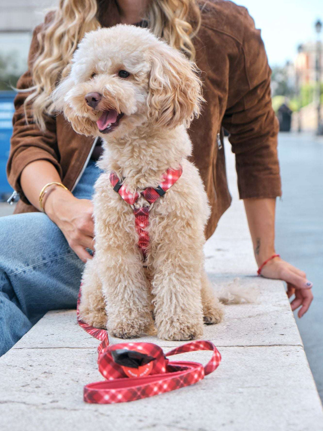 ARNÉS CLÁSICO PARA PERRO TARTÁN RED