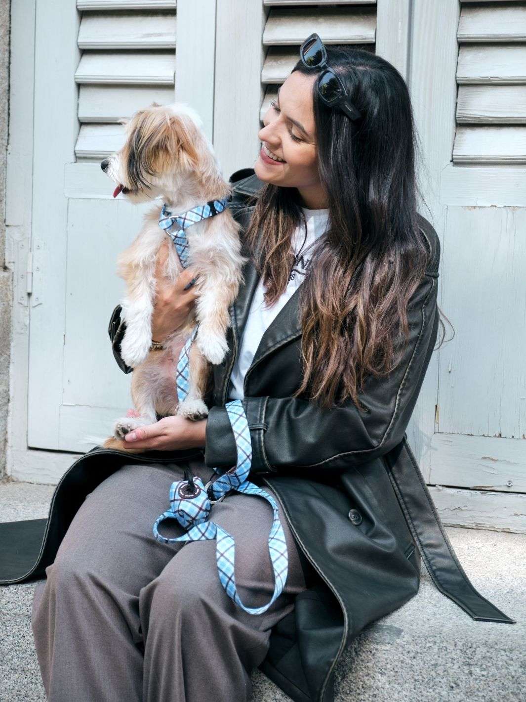 ARNÉS CLÁSICO PARA PERRO TARTÁN BLUE MOCCA