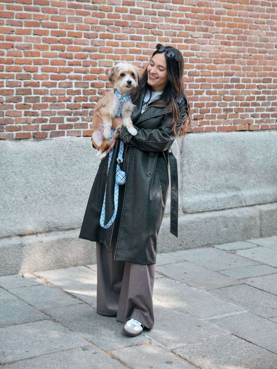 ARNÉS CLÁSICO PARA PERRO TARTÁN BLUE MOCCA