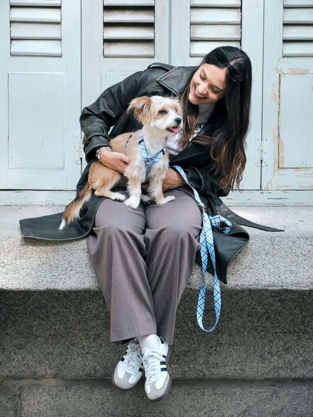 ARNÉS CLÁSICO PARA PERRO TARTÁN BLUE MOCCA