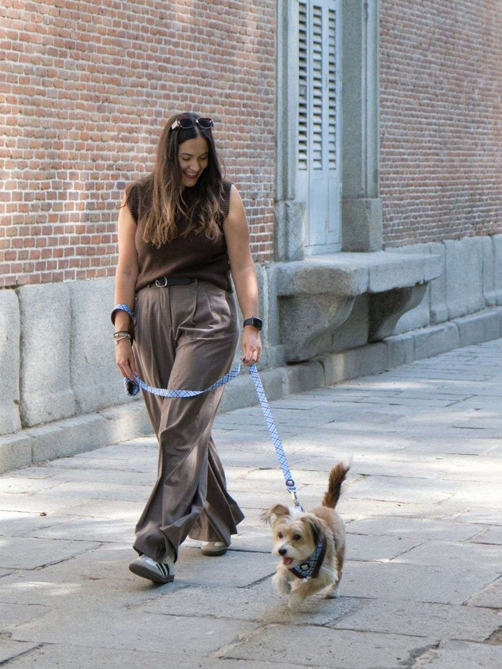 CORREA PARA PERRO TARTÁN BLUE MOCCA