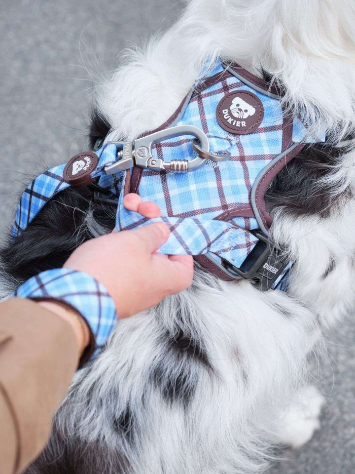 ARNES TRAIL PARA PERRO TARTÁN BLUE MOCCA