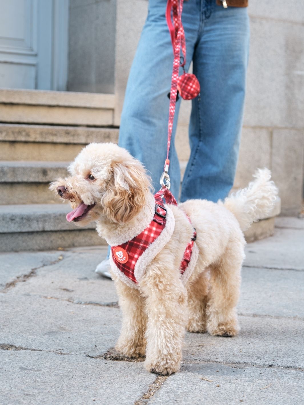 ARNES AJUSTABLE PARA PERRO TARTÁN RED