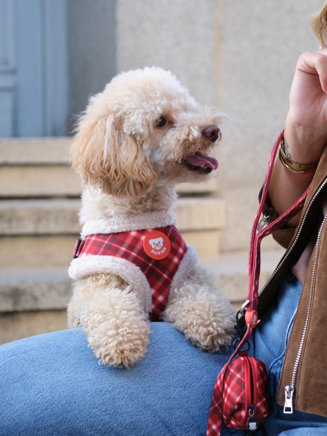 ARNES AJUSTABLE PARA PERRO TARTÁN RED
