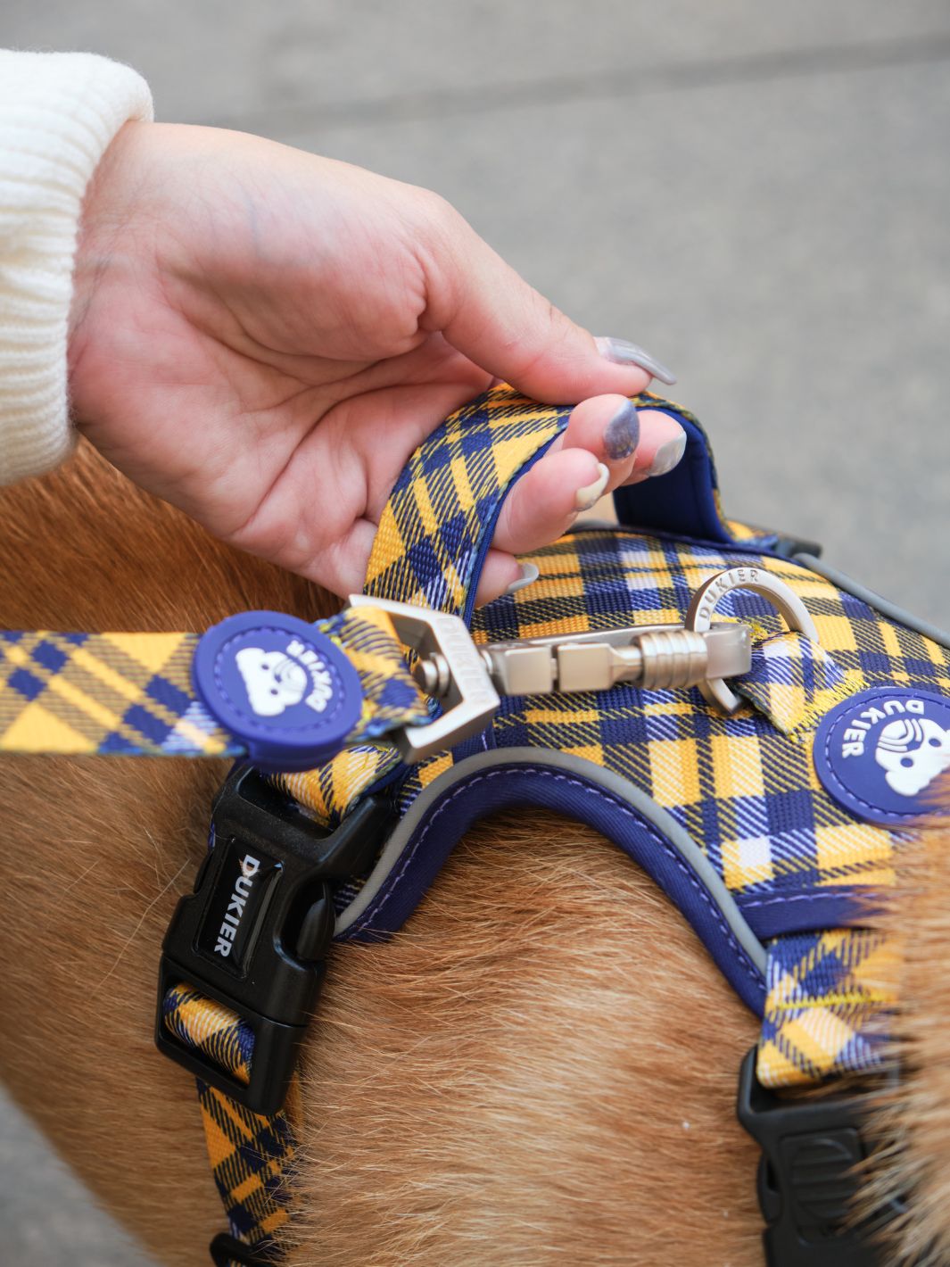 ARNES TRAIL PARA PERRO TARTÁN MUSTARD