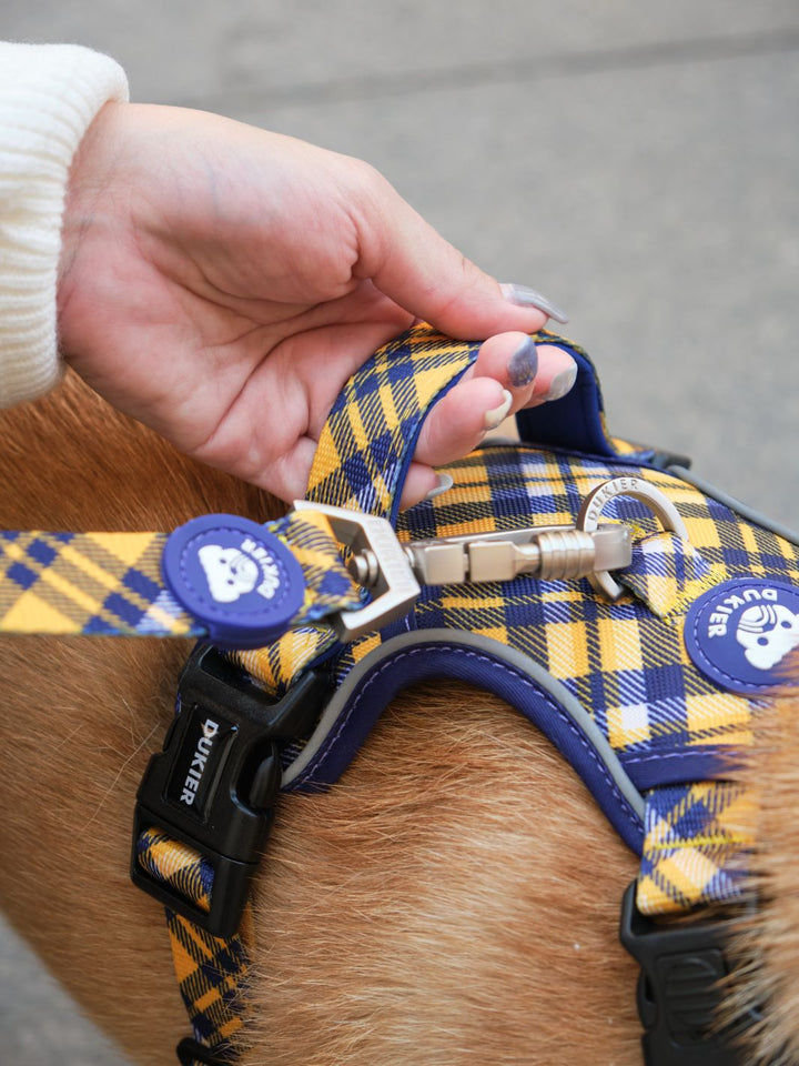 ARNES TRAIL PARA PERRO TARTÁN MUSTARD