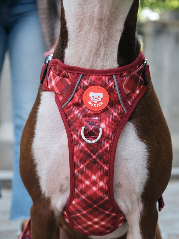 ARNES TRAIL PARA PERRO TARTÁN RED