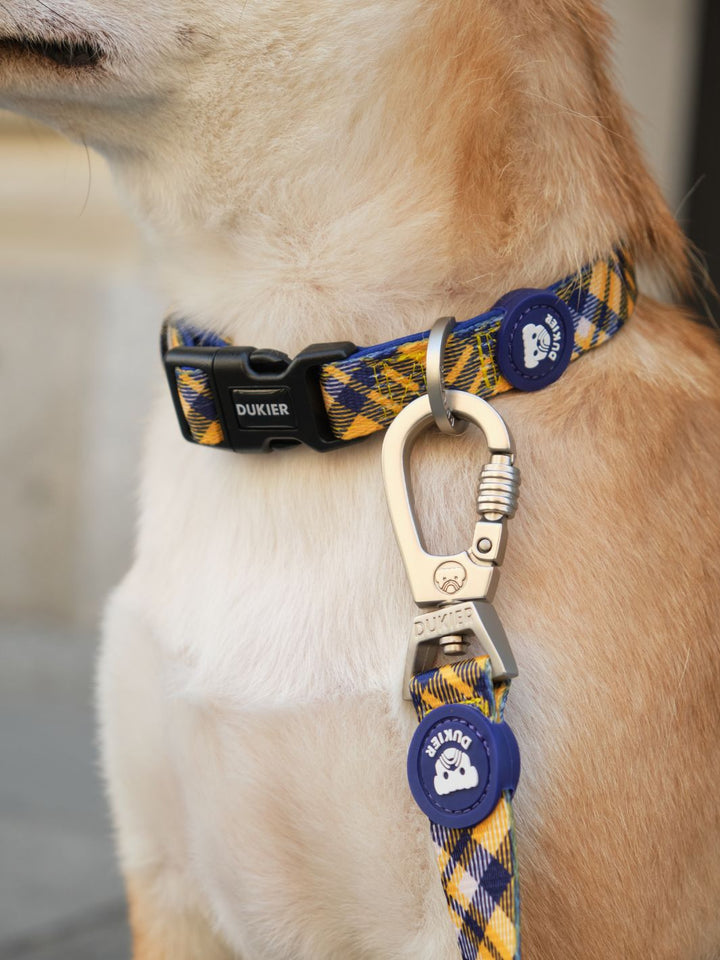 COLLAR PARA PERRO TARTÁN MUSTARD
