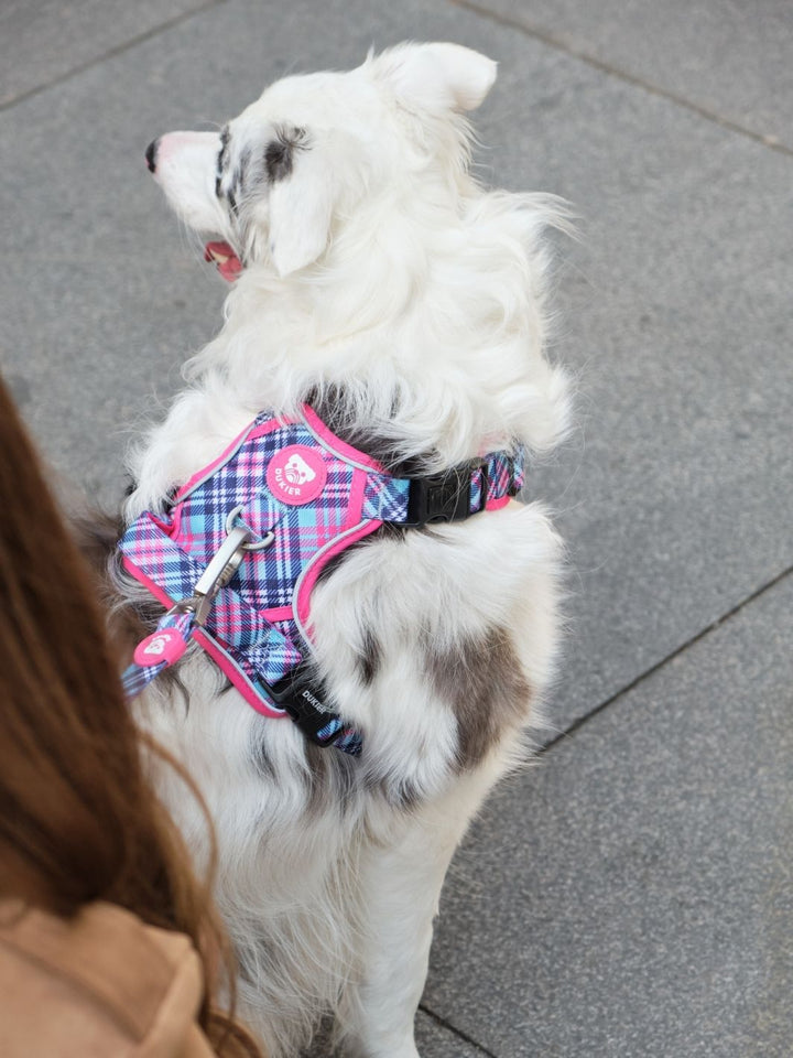 ARNES TRAIL PARA PERRO TARTÁN PINK