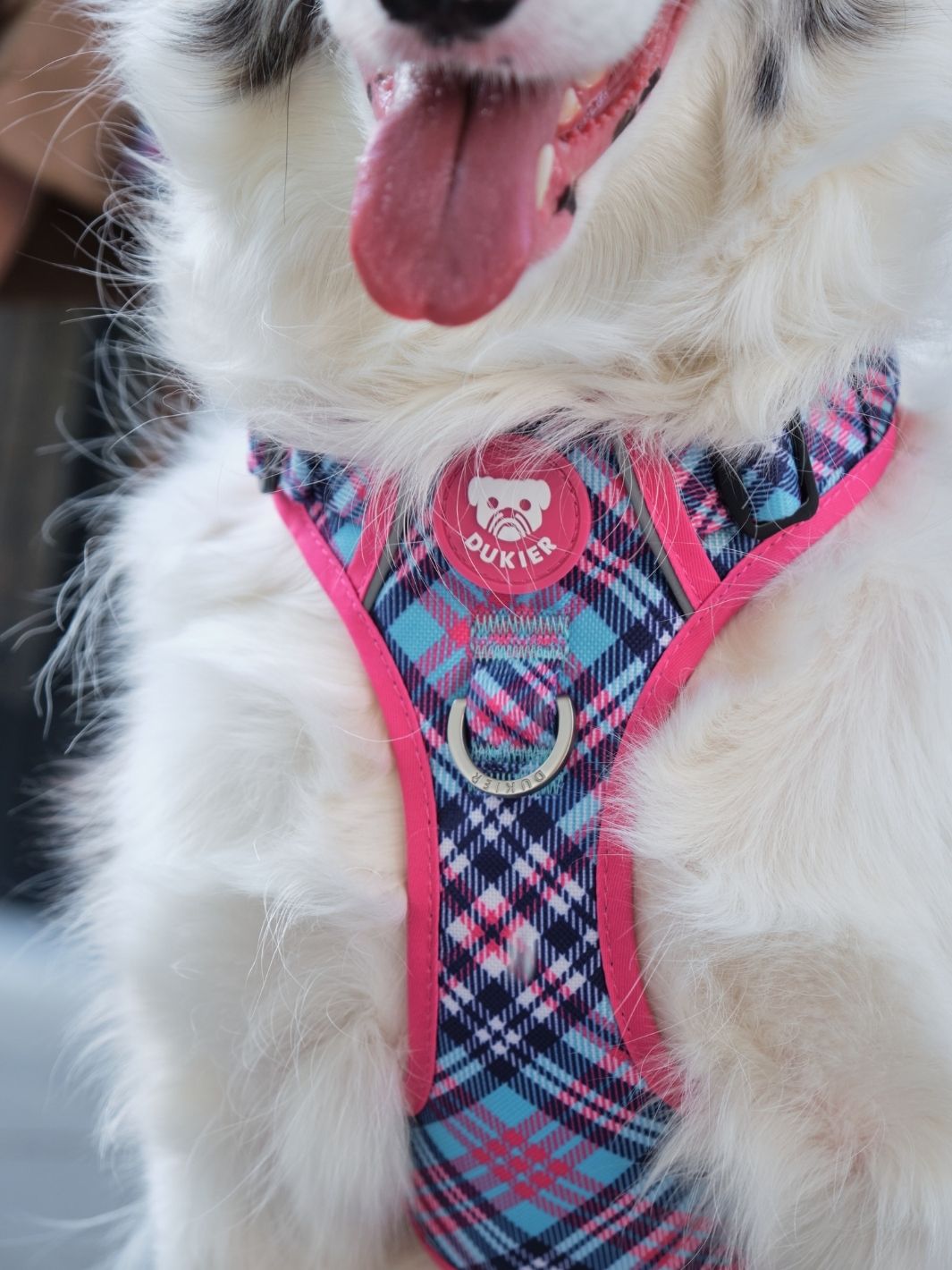 DUKIER Dog TRAIL HARNESS TARTAN PINK – Dukier