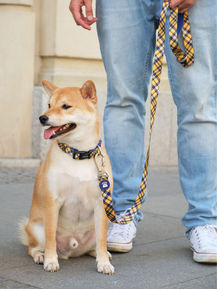 COLLAR PARA PERRO TARTÁN MUSTARD