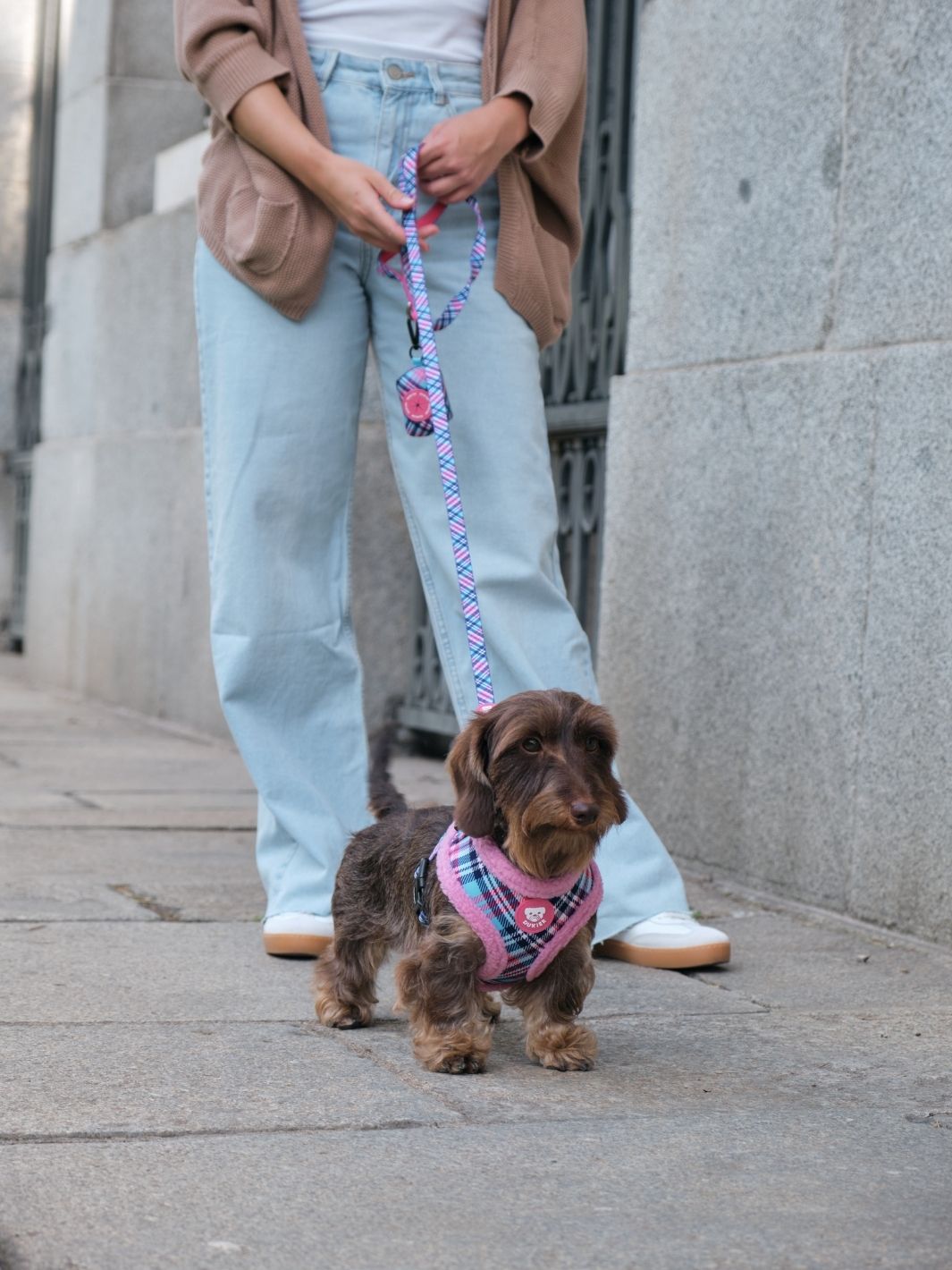 ARNES AJUSTABLE PARA PERRO TARTÁN PINK