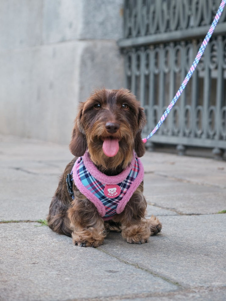 ARNES AJUSTABLE PARA PERRO TARTÁN PINK