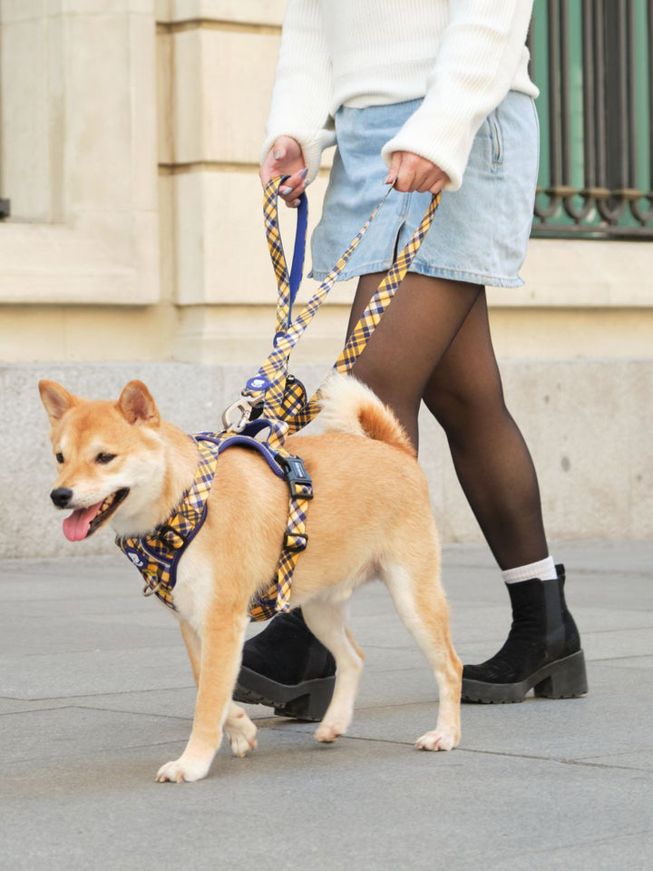 CORREA PARA PERRO TARTÁN MUSTARD