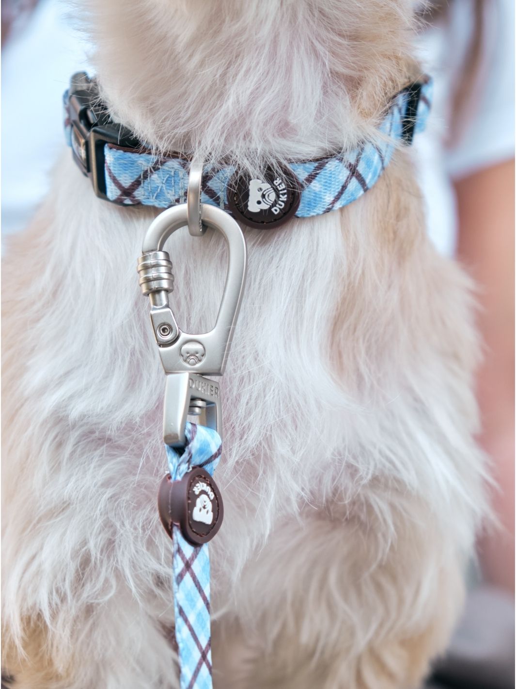 COLLAR PARA PERRO TARTÁN BLUE MOCCA