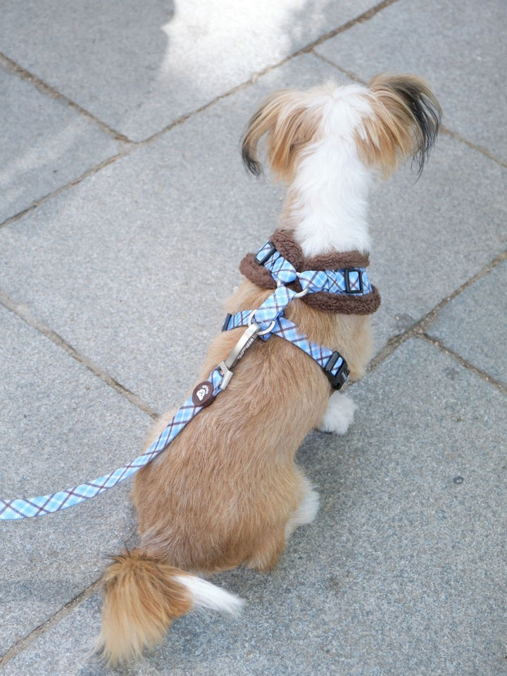 ARNES AJUSTABLE PARA PERRO TARTÁN BLUE MOCCA