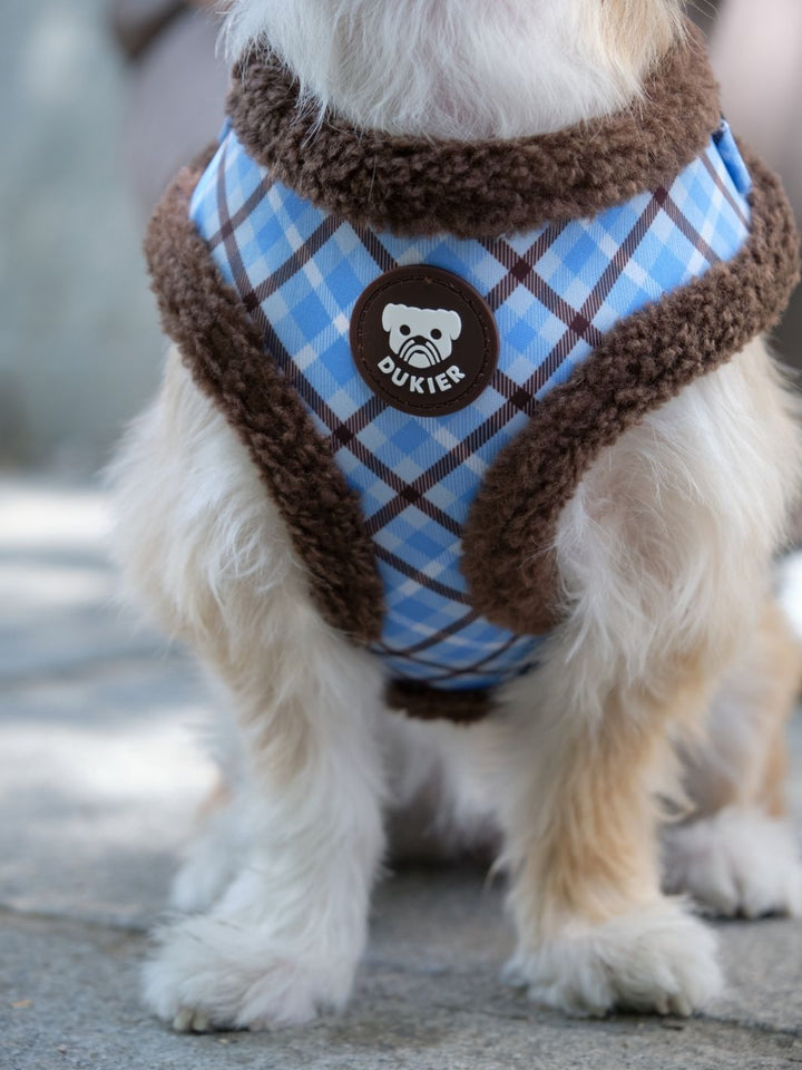 ARNES AJUSTABLE PARA PERRO TARTÁN BLUE MOCCA
