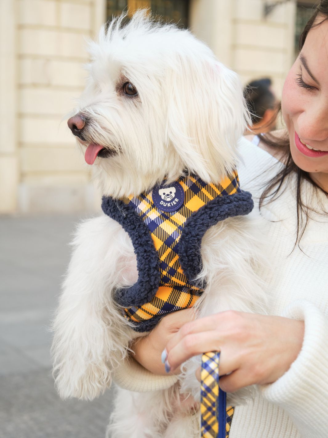 ARNES AJUSTABLE PARA PERRO TARTÁN MUSTARD