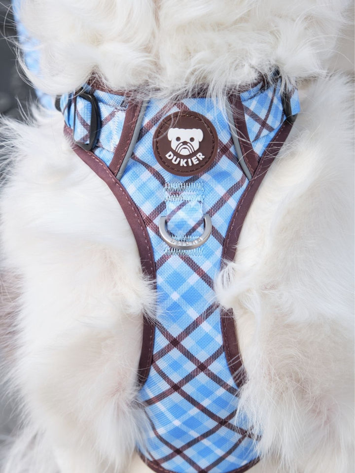 ARNES TRAIL PARA PERRO TARTÁN BLUE MOCCA