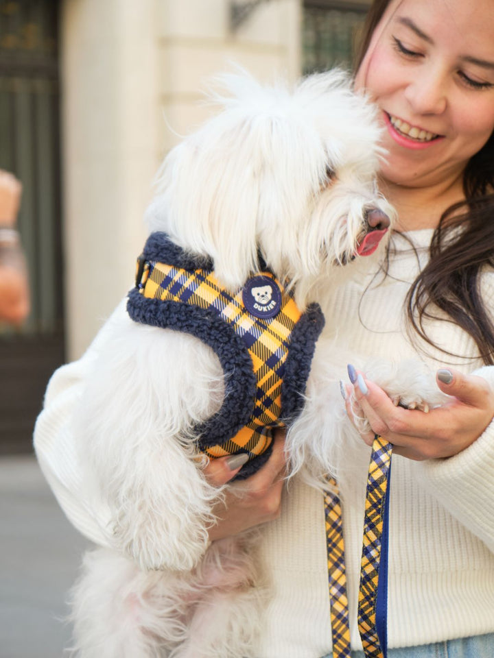ARNES AJUSTABLE PARA PERRO TARTÁN MUSTARD