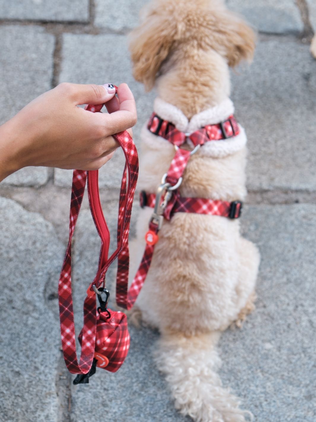 CORREA PARA PERRO TARTÁN RED