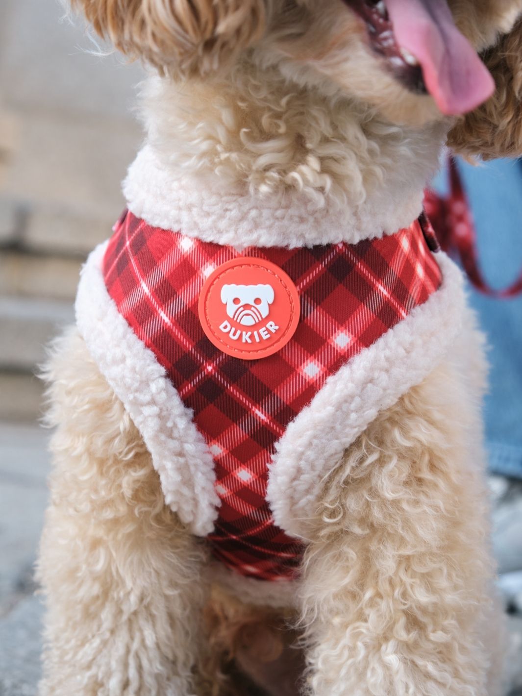 ARNES AJUSTABLE PARA PERRO TARTÁN RED