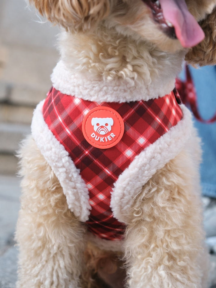 ARNES AJUSTABLE PARA PERRO TARTÁN RED