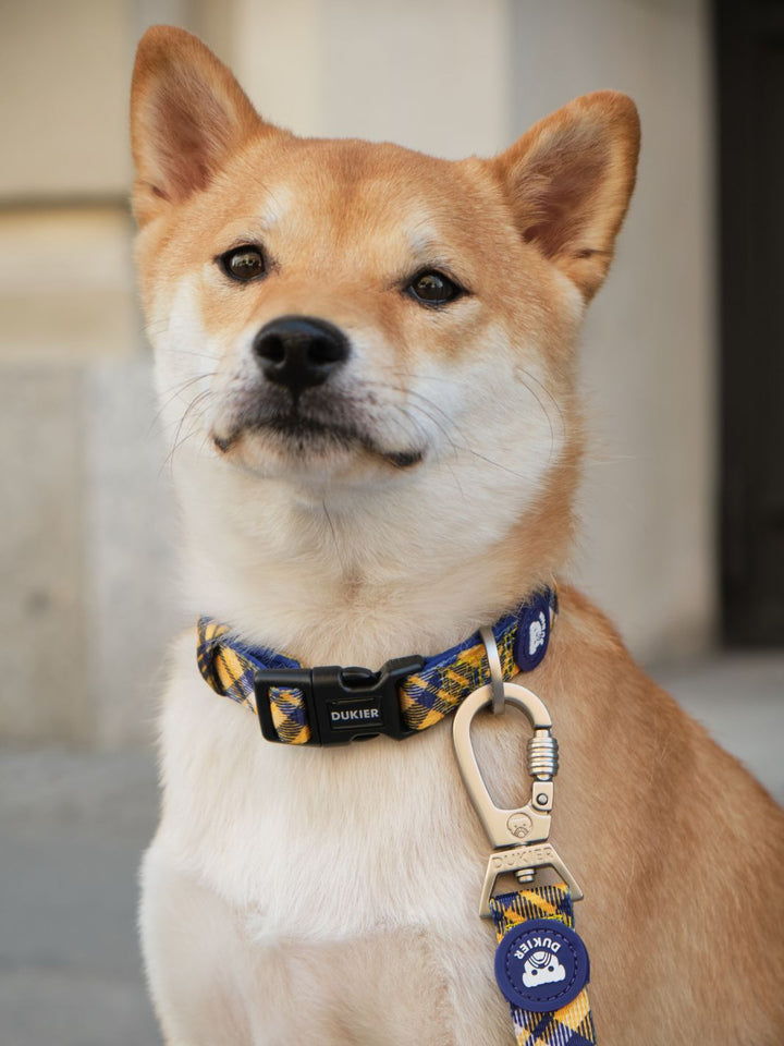 COLLAR PARA PERRO TARTÁN MUSTARD