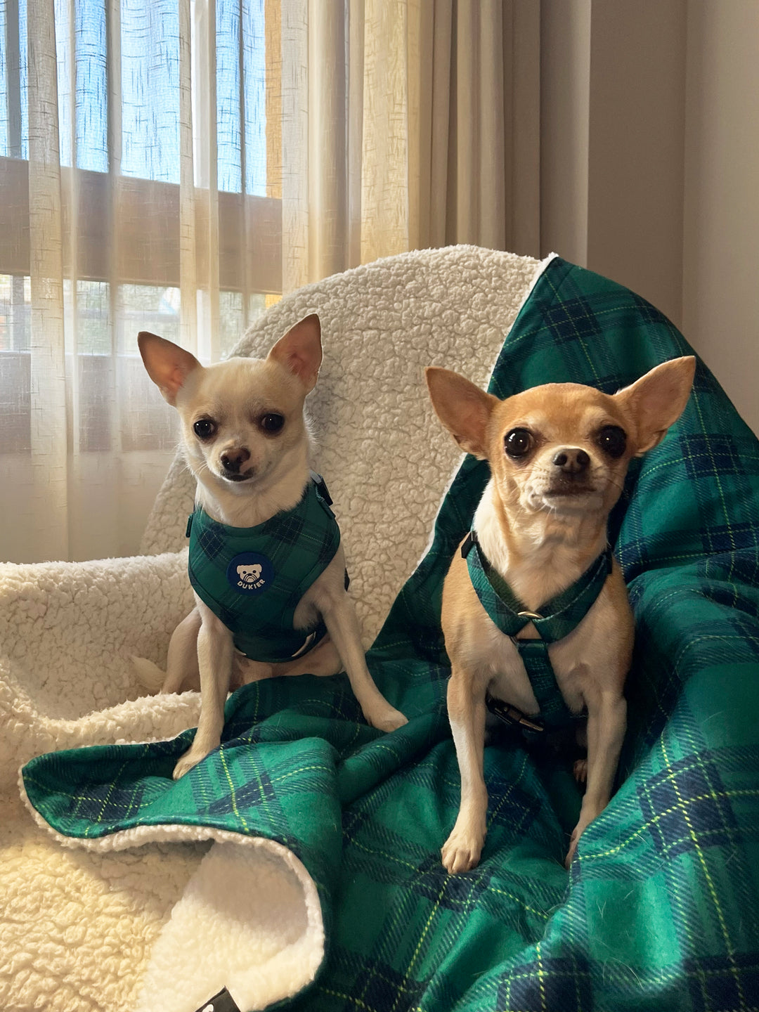 GREEN TARTAN PLUSH PET BLANKET