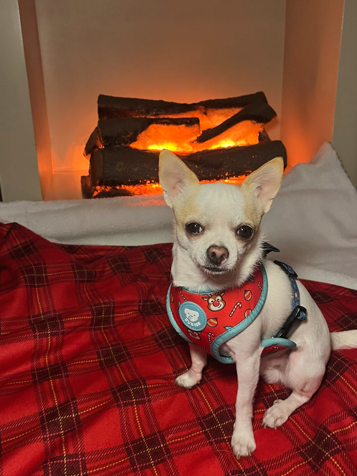 RED TARTAN PLUSH PET BLANKET