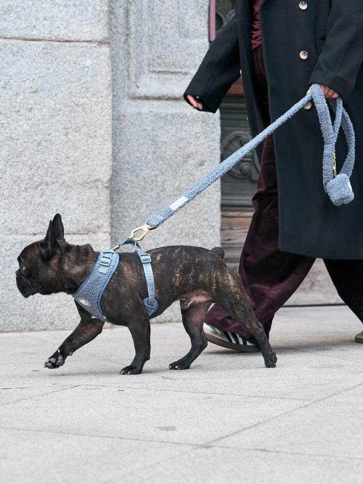 CORREA PARA PERRO TEDDY NAVY